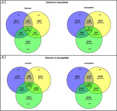 Identification of Fusarium solani f. sp. pisi (Fsp) Responsive Genes in Pisum sativum